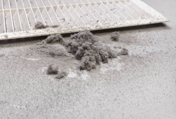 Best Best Air Duct Cleaning Company  in Berwyn, IL