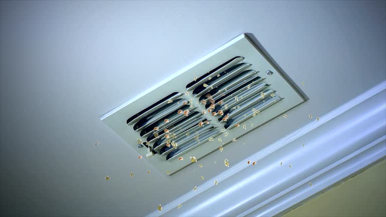 Best Affordable HVAC Duct Cleaning  in Berwyn, IL