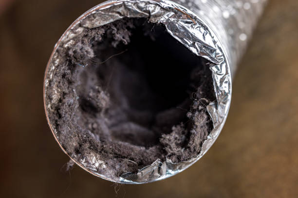 Best Ductwork Cleaning Services  in Berwyn, IL