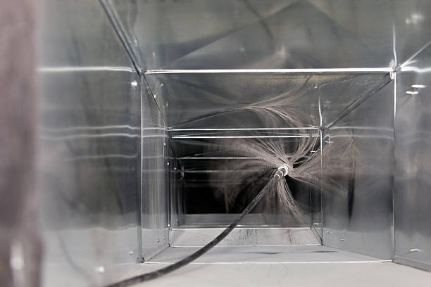 Best Air Duct Mold Removal  in Berwyn, IL